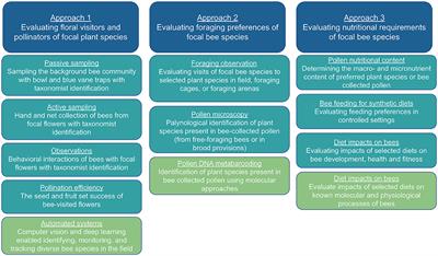 Wild Bee Nutritional Ecology: Integrative Strategies to Assess Foraging Preferences and Nutritional Requirements